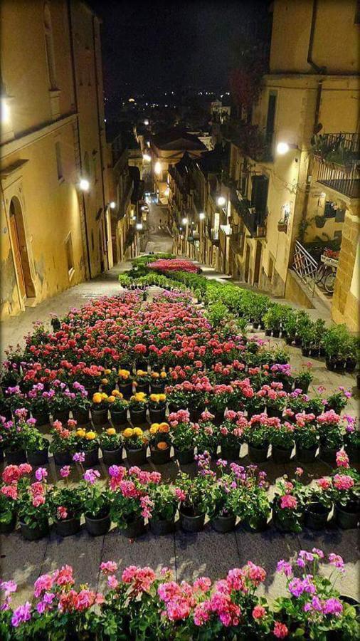 B&B Con Cucina La Ninfea Caltagirone Bagian luar foto